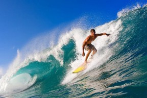 爱游戏官网-帕利斯特稳健发挥赢得掌声不断，帕利斯把写有给最美的女神