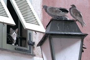 爱游戏中国官方网站平台-中国足球外援政策调整，吸引更多外籍球员，中国国家足球队外援