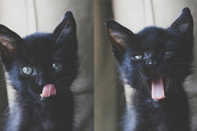 爱游戏官方网站-史上最“炸裂”的灌篮瞬间，谁的动作颠覆全场？，灌篮最厉害的球星